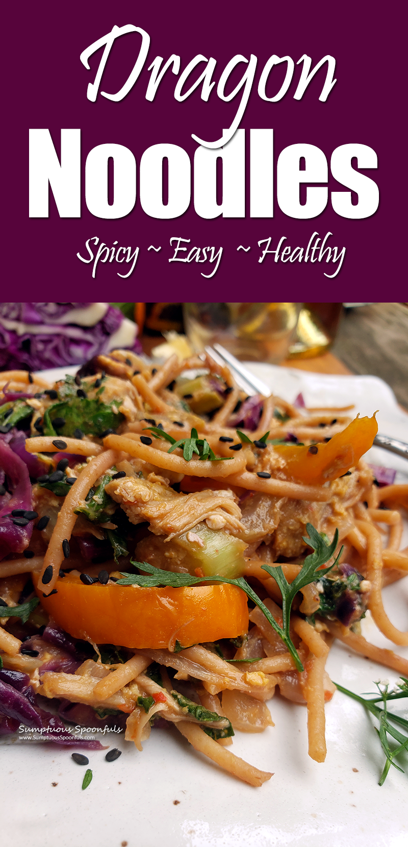 Dragon Noodles with Chicken ~ a healthy hearty meal you can toss together in 30 minutes! Spicy, easy and healthy.