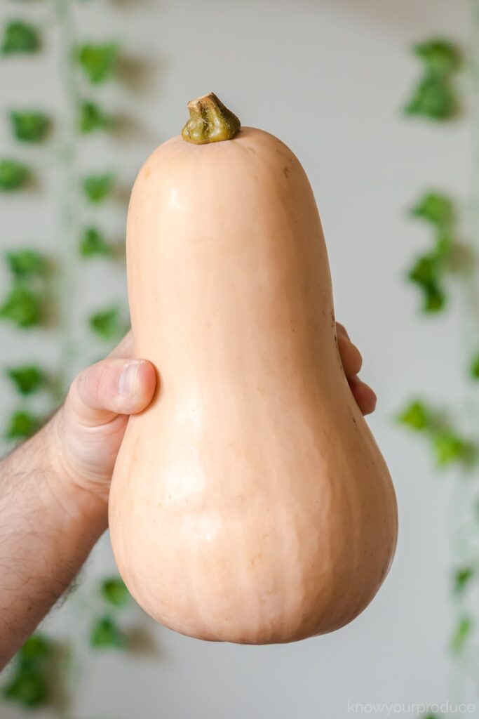 Butternut Squash Image from Know Your Produce